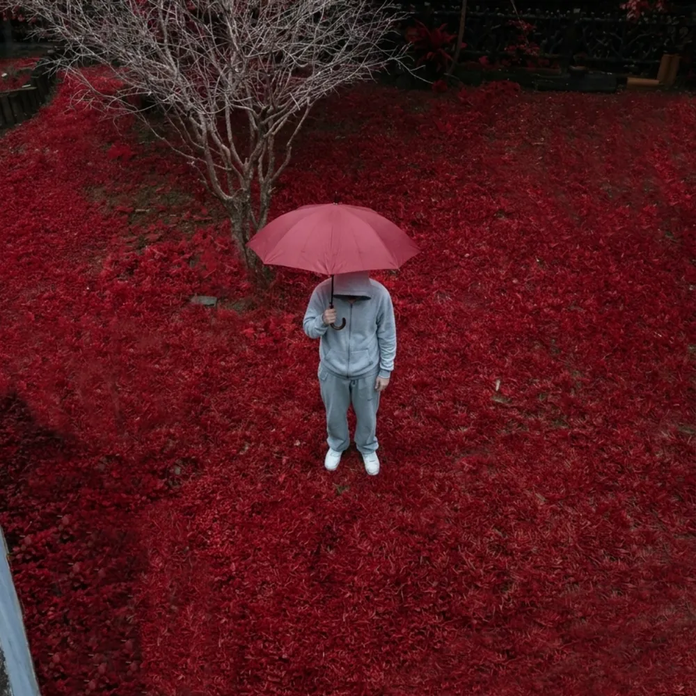 Capa de Foca em Mim: figura com guarda-chuva vermelho num campo de folhas vermelhas