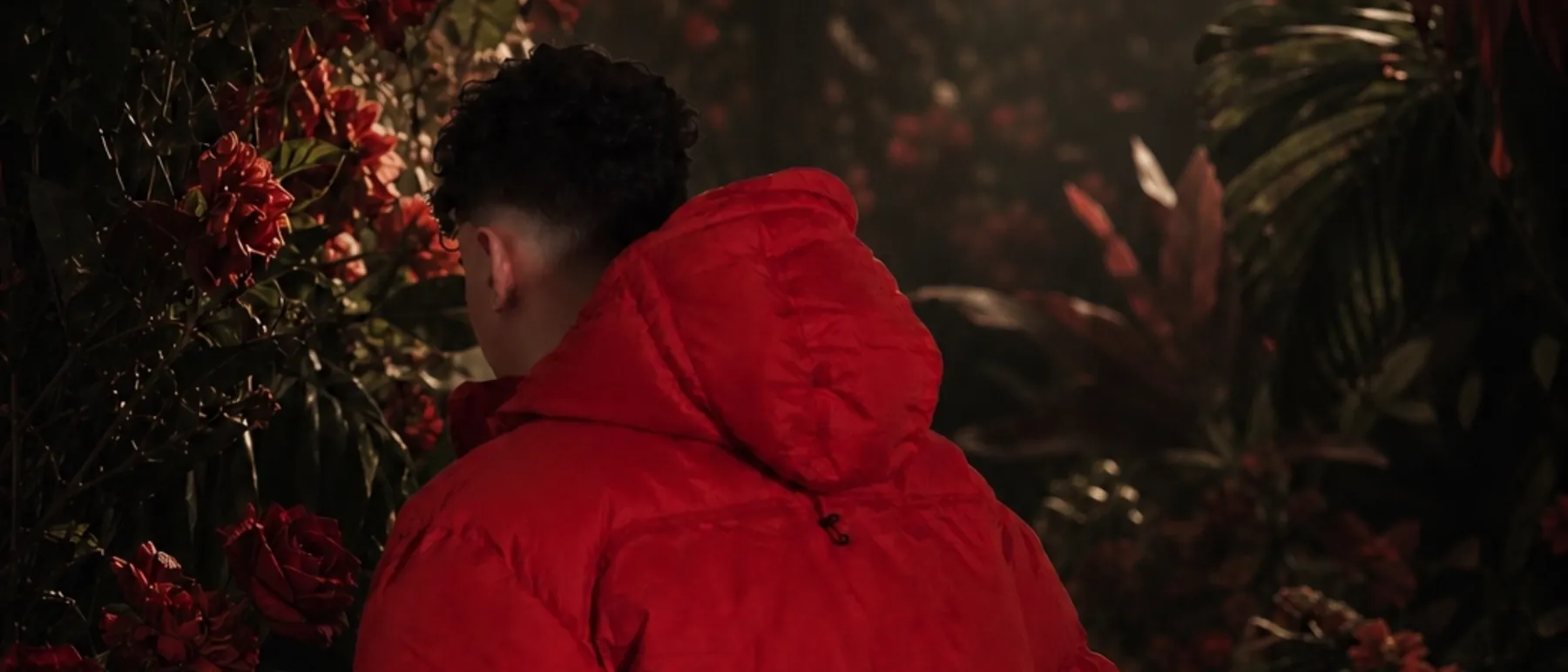 Jardineiro: Matt de jaqueta vermelha entre flores